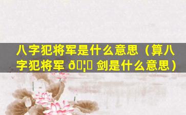 八字犯将军是什么意思（算八字犯将军 🦅 剑是什么意思）